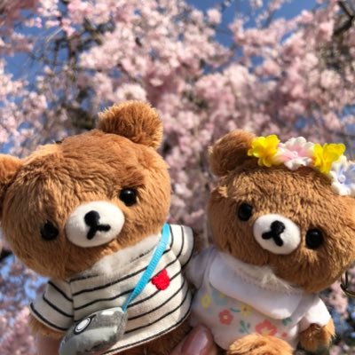 無言いいね＆フォロー失礼します。リラックマとこぐまちゃんが大好き🐻くま活する時に頻繁に現れます💦