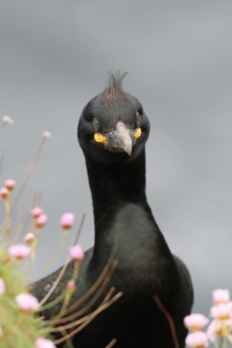 GETHOLDOFDAVE's profile picture. 