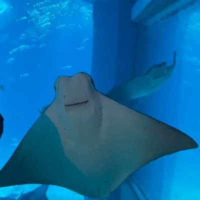 くるとさんのプロフィール画像