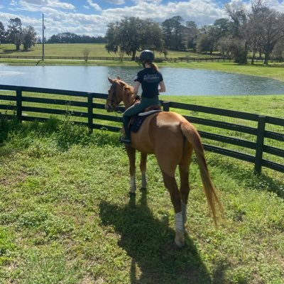 Back from the hack and better than ever!! | Hunter/Jumper & Eventing groom - Tryon, NC, Ocala, FL, Columbus, OH. DM or email: madelinepierce6@gmail.com