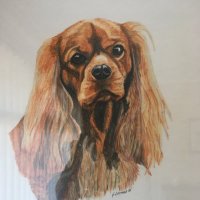 Babs (@babs45babs) 's Twitter Profile