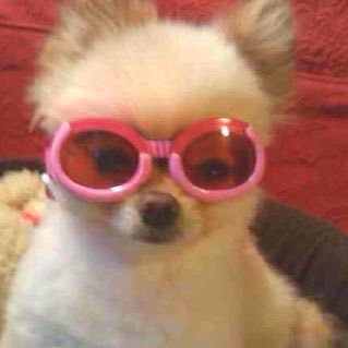 kaszojad2001's profile picture. ; )