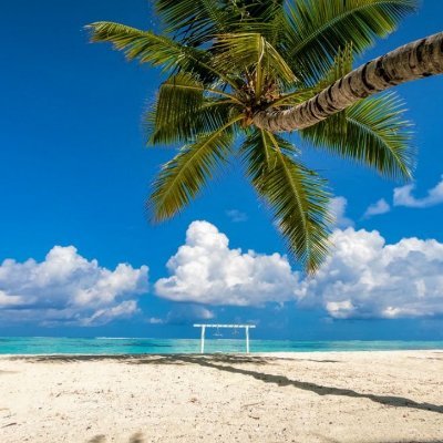 Shirley42107916's profile picture. ter Deus no meu coração sendo evangélica
Missionária