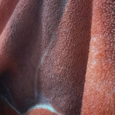 Sensio18's profile picture. 