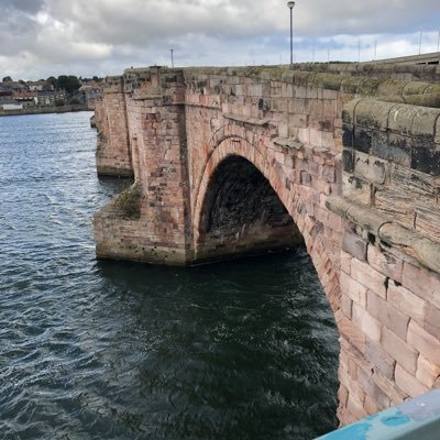 WhyNotThis's profile picture. 