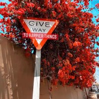 Ken Adams (@tuneadams123) 's Twitter Profile