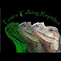 Tom'sTalkingReptiles(@TomsTalkingReps) 's Twitter Profile Photo