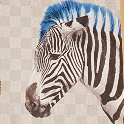 Insatiably curious trilingual zebra. Calls two countries home. Weirdo by character, honoured to be one. Politics, culture, food, education... I could go on.