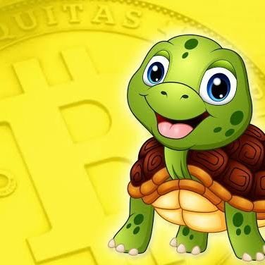 Turtle Crypto Analysis