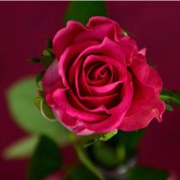 جوري (@gogoo19722) 's Twitter Profile Photo