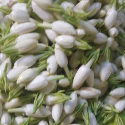 7MNxDejaxoBlgo8's profile picture. 