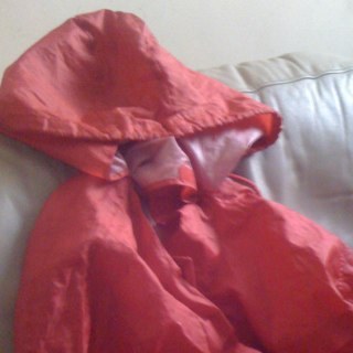 a lonely unknown red anorak who would prefer to be a Famous Blue Raincoat :-)