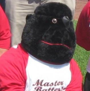 Hank