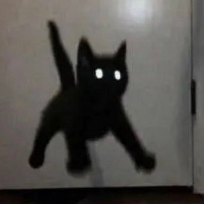 justmanchu's profile picture. 