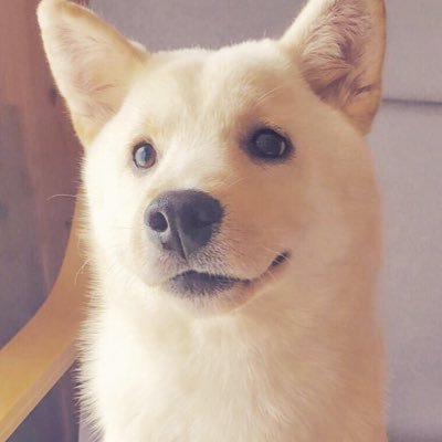 @nk009_ntpy
