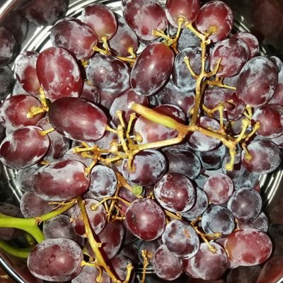 BrinCocin's profile picture. no experience since birth