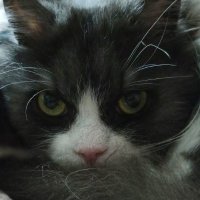 Jane_ (@jane20118652) 's Twitter Profile Photo Jane_ (@jane20118652) 's Twitter Profile Photo