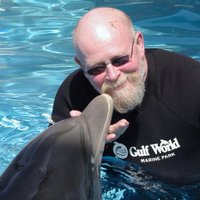 Ed Stastny (@realebiz) 's Twitter Profile