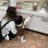 もちゃん®1yのアイコン