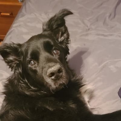 dfosterpray's profile picture. That's life, baby, don't be upset.