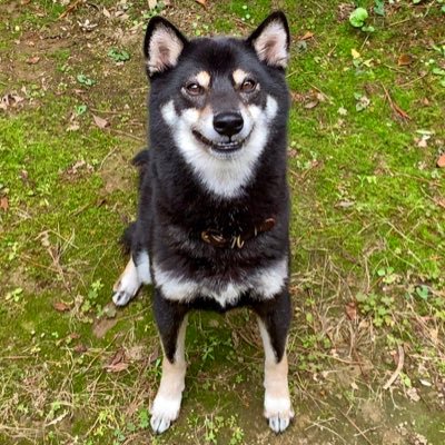 rtnさんのプロフィール画像