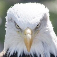AmericanMade (@americanmadecpm) 's Twitter Profile