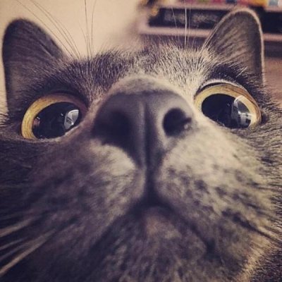 Superskyyyyy's profile picture. Absolutely absolute.
