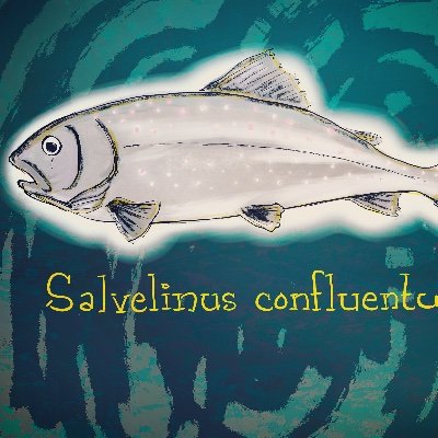 Indigenous & non-Indigenous scientists/artists/landscape architects/journalists/community leaders honouring reciprocal responsibilities to freshwater fish 🐟