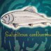 FreshwaterFishFutures (@FuturesFish) Twitter profile photo
