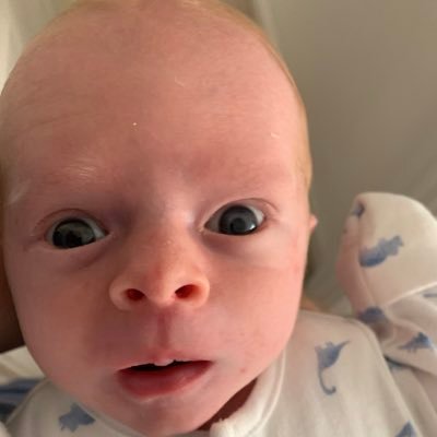 DavidCo70307449's profile picture. 