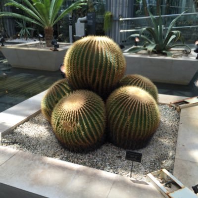 Ami91803315's profile picture. 