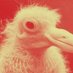 Al Cemento (◉‿◉) (@alcemento) Twitter profile photo Al Cemento (◉‿◉) (@alcemento) Twitter profile photo