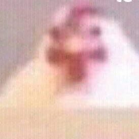 74111316464384k's profile picture. 