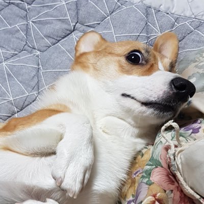 technopawn's profile picture. TechnoPawn