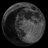 BlackOceanOrg's profile image