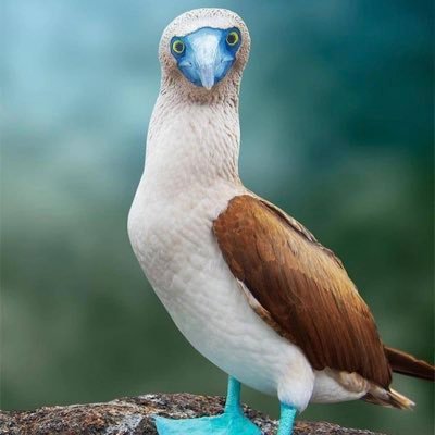 DoganKontaci's profile picture. 