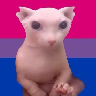 cheさんのプロフィール画像