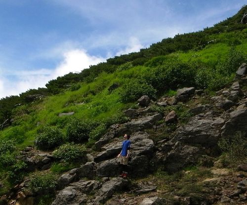 yansato07's profile picture. 