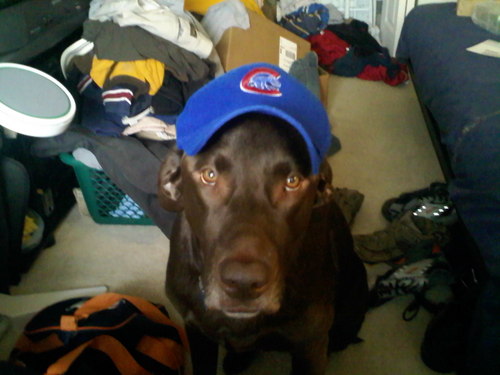 BGraff79's profile picture. 