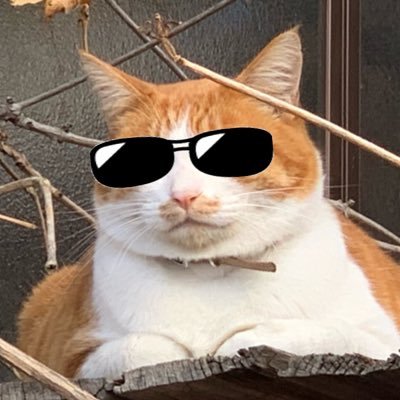 ろりぽるさんのプロフィール画像