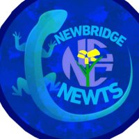 Newbridge Newts🦎(@NewbridgeNewts) 's Twitter Profile Photo