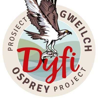 Follow the progress of the Dyfi Osprey Project and find out more about the Montgomeryshire Wildlife Trust. @montwildlife
