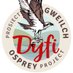 Dyfi Osprey Project (@DyfiOspreys) Twitter profile photo