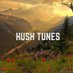 Hush Tunes (@HTunes) Twitter profile photo