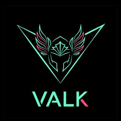 ValkGaming Profile Picture
