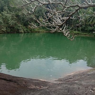 Haritha50873869's profile picture. 