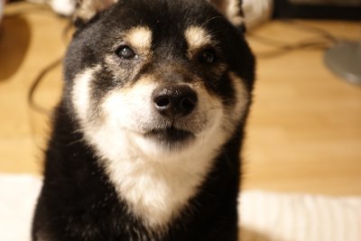 映像【写真・動画】と広告関係の仕事をしております。 趣味は、ドライブと神社仏閣巡り。筋トレとテニス少々。ゴルフは左肩痛めて中断中です。楽しく情報交換等をしながら、お互い有意義な一時を過ごしましょう。いろんなフェチ有りますが宜しくお願いします＾＾