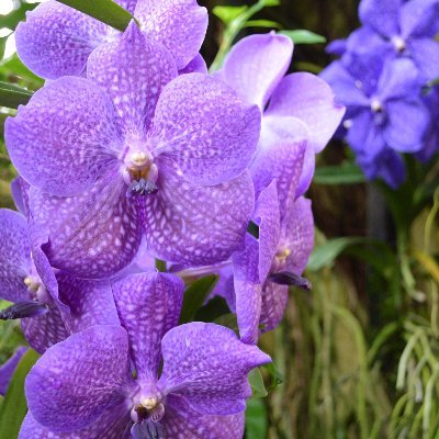 yumiyumin (@yumiyumin2) / Posts / X