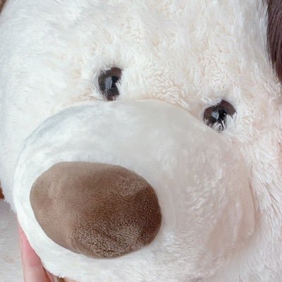 anxd9_'s profile picture. 님맨날준규얘기만하고재미없어요