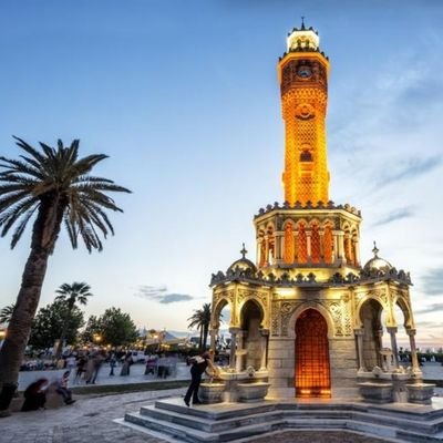 tugbaerg1's profile picture. 